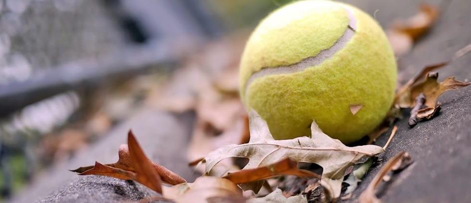 herfst-op-tennisbaan-980x423.jpg